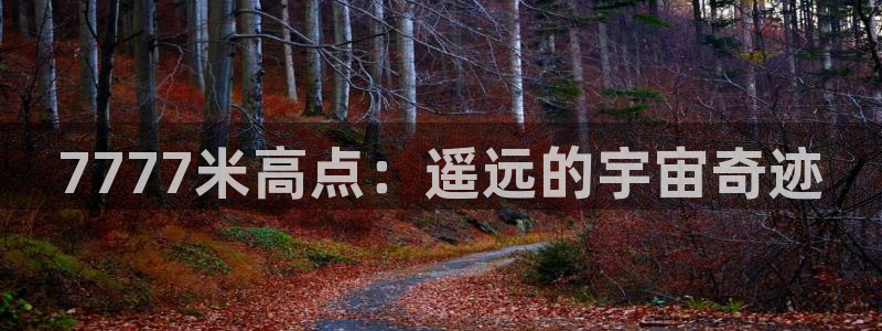 悟空视频大全免费观看：7777米高点：遥远的宇宙奇迹