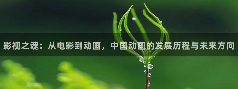 悟空老师的视频：影视之魂：从电影到动画，中国动画的发展历程与未来方向