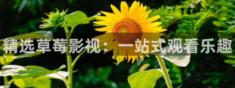 孙悟空出五指山视频：精选草莓影视：一站式观看乐趣