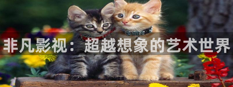 悟空视频极速版：非凡影视：超越想象的艺术世界