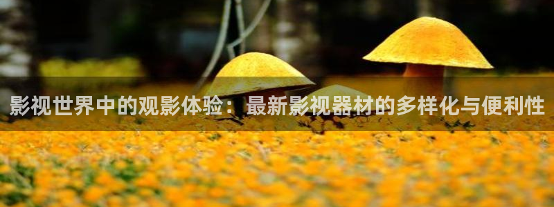 悟空视频在线：影视世界中的观影体验：最新影视器材的多样化与便利性