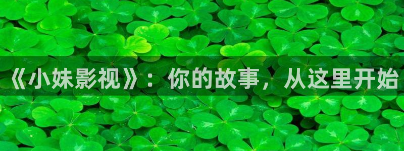 悟空在线免费视频：《小妹影视》：你的故事，从这里开始