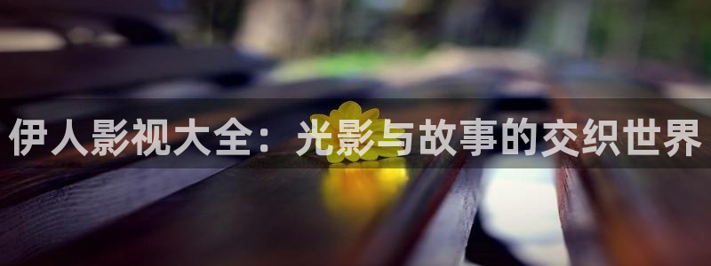 悟空视频短剧：伊人影视大全：光影与故事的交织世界
