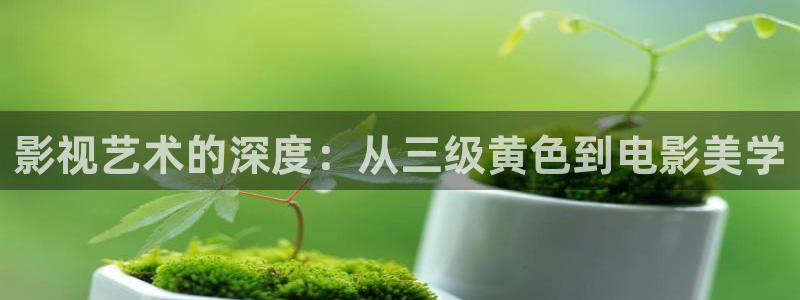 孙悟空72变视频片段：影视艺术的深度：从三级黄色到电影美学
