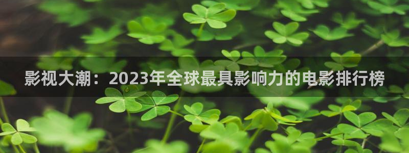 悟空视频下载免费：影视大潮：2023年全球最具影响力的电影排行榜